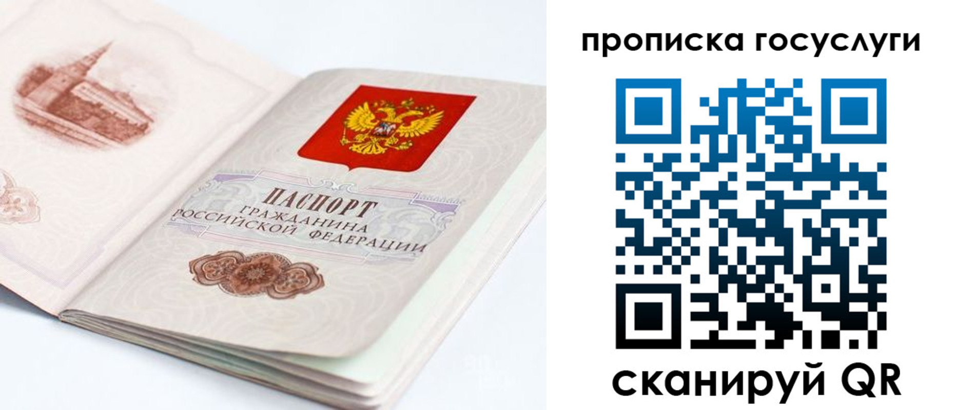 временная регистрация в Новом Осколе